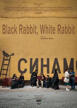 Black Rabbit, White Rabbit's poster