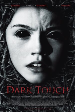 Dark Touch's poster