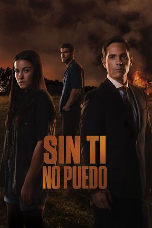 Can't Live Without You's poster