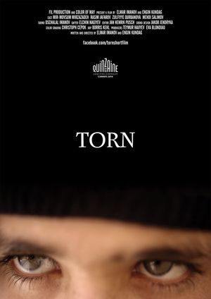 Torn's poster