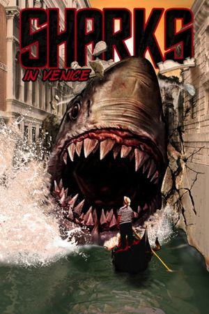 Shark in Venice's poster image