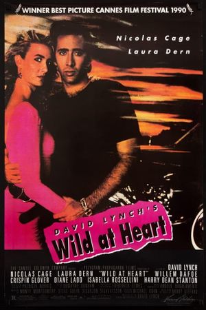 Wild at Heart's poster
