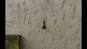 The Mark On The Wall's poster