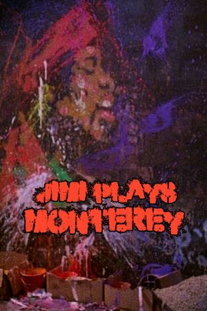 Jimi Plays Monterey's poster