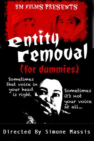 Entity Removal (for dummies)'s poster