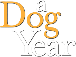 A Dog Year's poster