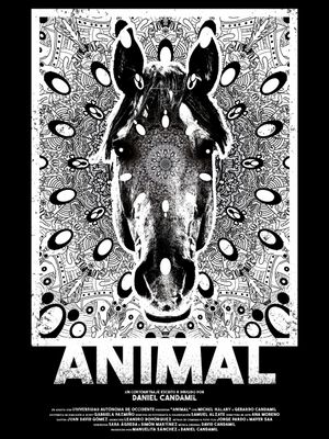 Animal's poster