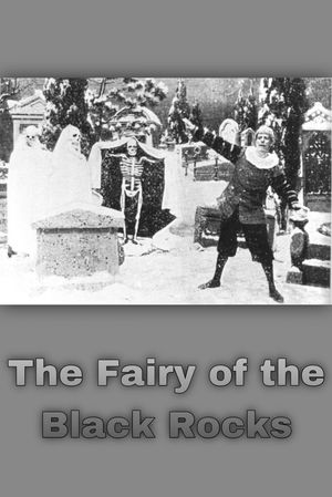 The Fairy of the Black Rocks's poster image