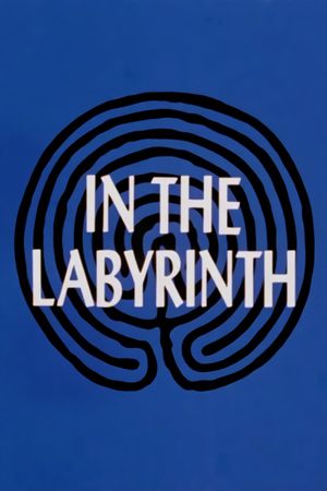 In the Labyrinth's poster
