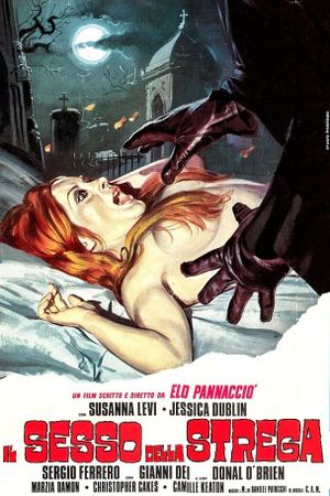 Sex of the Witch's poster