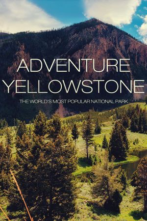 Adventure Yellowstone - Der Ruf der Wildnis's poster