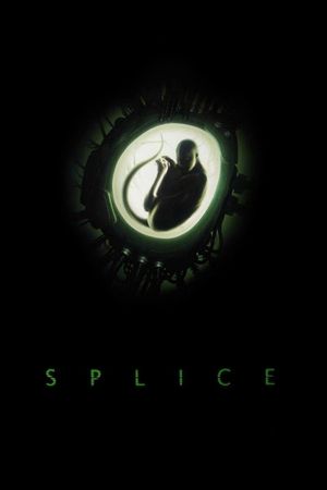 Splice's poster