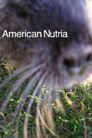 American Nutria's poster