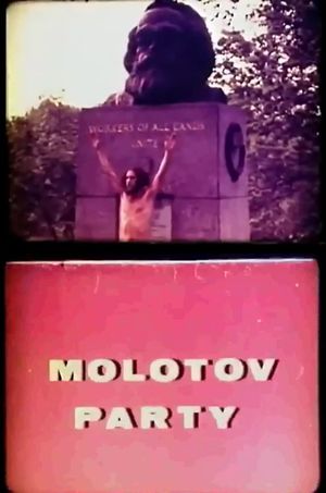 Molotov Party's poster