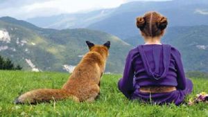 The Fox and the Child's poster