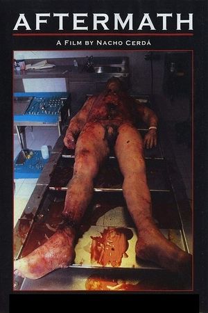 Aftermath's poster