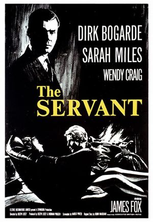 The Servant's poster