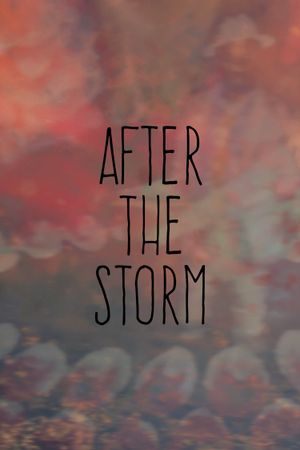 After the Storm's poster
