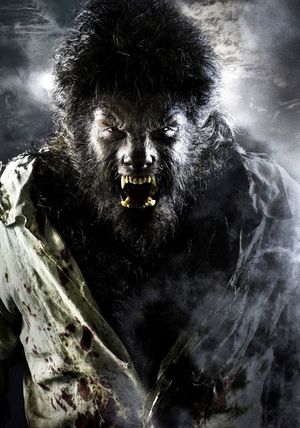 The Wolfman's poster