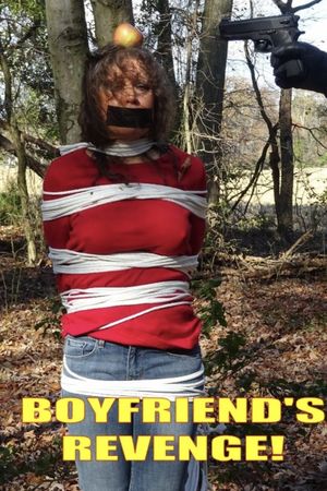 Boyfriend's Revenge's poster