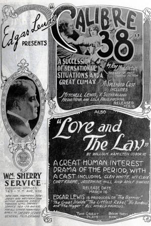 Love and the Law's poster