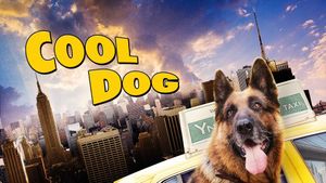 Cool Dog's poster