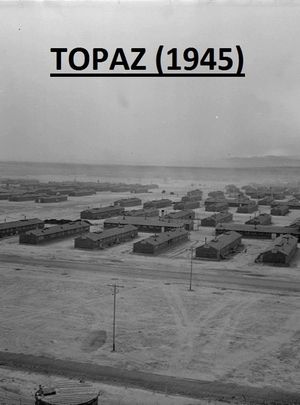 Topaz's poster