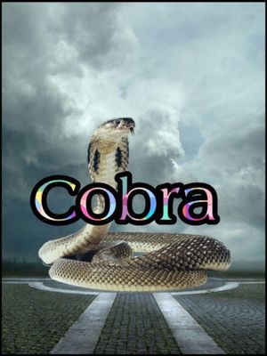 Cobra's poster