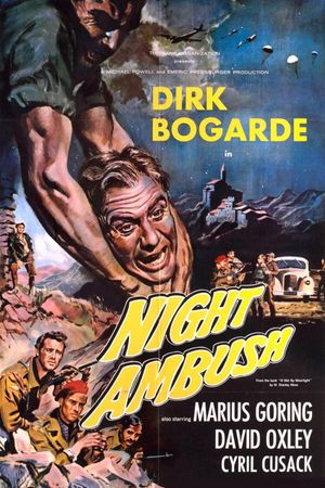 Night Ambush's poster