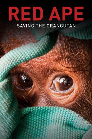 Red Ape: Saving the Orangutan's poster