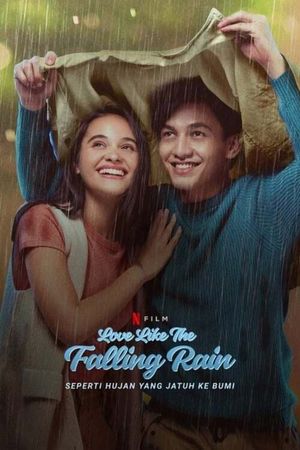 Love like the Falling Rain's poster