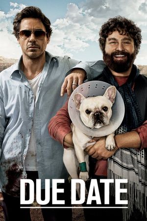 Due Date's poster