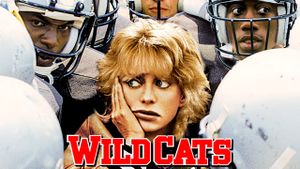 Wildcats's poster
