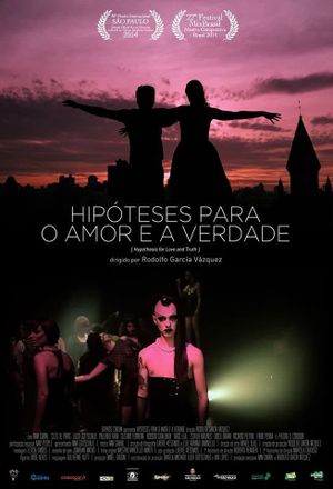 Hipóteses para o Amor e a Verdade's poster image