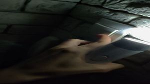 Svinorcist's poster