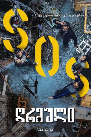 Sinkhole's poster