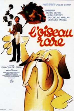 A Rare Bird's poster