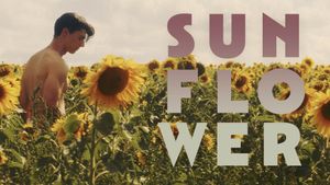 Sunflower's poster