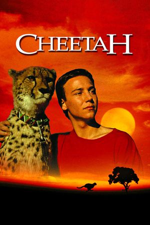 Cheetah's poster