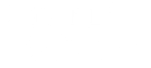 Little Women's poster