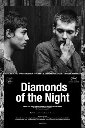 Diamonds of the Night's poster