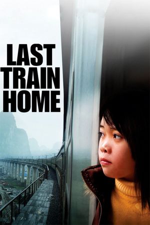 Last Train Home's poster