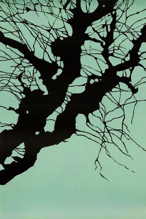 Spring's poster