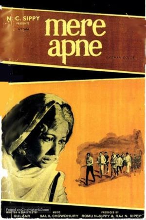 Mere Apne's poster