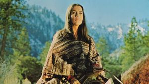The Appaloosa's poster
