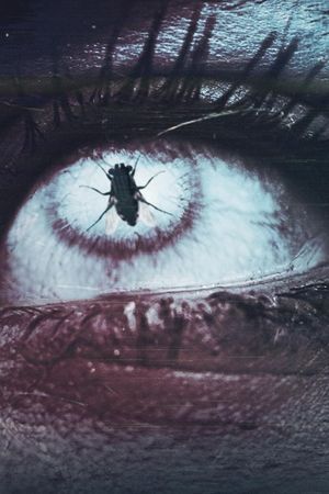 Visher's poster