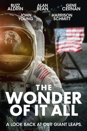 The Wonder of it All's poster