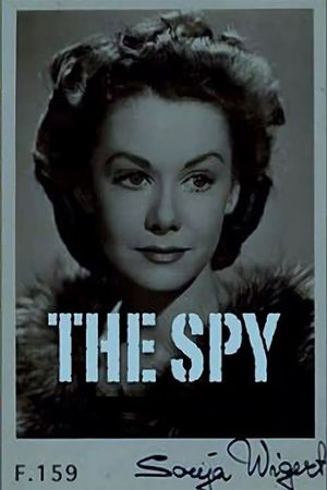 The Spy's poster