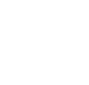The Enchanted's poster
