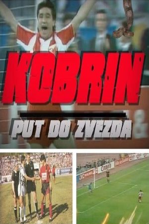 Kobrin put do zvezda's poster